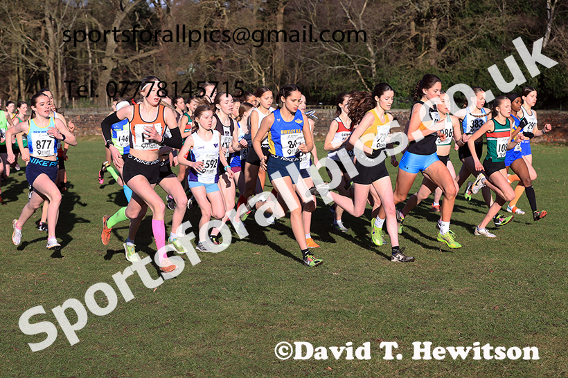 Girls under-15s 2025 Northern Cross Country Champs, Tatton Park, Knutsford, Cheshire. Photo: David T. Hewitson/Sports for All Pics